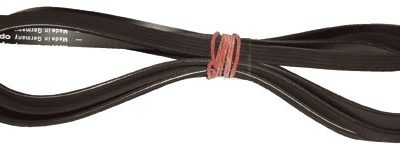 CORREA ESTRIADA 1884H5